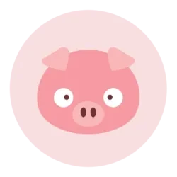 Piggy Finance